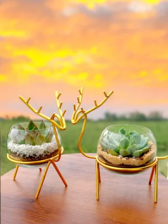 Buy Set of 2 Enchanting Golden Reindeer Desktop planter for Gifting from gifting.wildroots.in