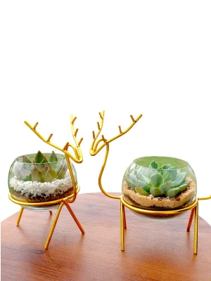 Buy Set of 2 Enchanting Golden Reindeer Desktop planter for Gifting from gifting.wildroots.in