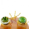 Buy Set of 2 Enchanting Golden Reindeer Desktop planter for Gifting from gifting.wildroots.in