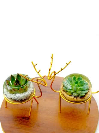 Buy Set of 2 Enchanting Golden Reindeer Desktop planter for Gifting from gifting.wildroots.in