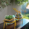 Buy Set of 2 Enchanting Golden Reindeer Desktop planter for Gifting from gifting.wildroots.in