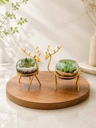 Enchanting Golden Reindeer Desktop Terrarium Planter Set by Wild Roots with succulent plants in premium glass bowls and golden decorative stands for modern home décor and gifting.