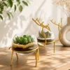Enchanting Golden Reindeer Desktop Terrarium Planter Set by Wild Roots with succulent plants in premium glass bowls and golden decorative stands for modern home décor and gifting.