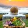 Volcano jar terrarium with lush green plants by Wildroots