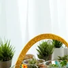 Buy Set of 4 Terrarium Gift Basket- gifting from gifting.wildroots.in