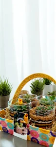 Buy Set of 4 Terrarium Gift Basket- gifting from gifting.wildroots.in