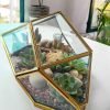 Geometric irregular rock glass terrarium with air plants and stones by Wildroots