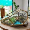 Geometric irregular rock glass terrarium with air plants and stones by Wildroots