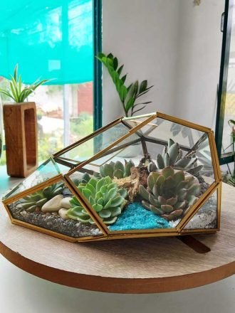 Geometric irregular rock glass terrarium with air plants and stones by Wildroots