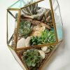 Geometric irregular rock glass terrarium with air plants and stones by Wildroots