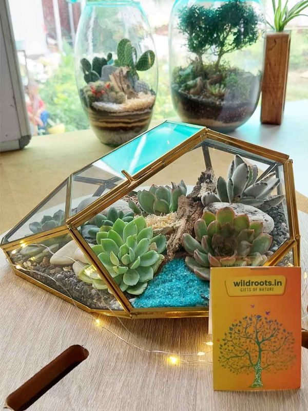 Geometric irregular rock glass terrarium with air plants and stones by Wildroots
