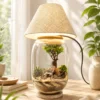 Glass terrarium lamp with ficus bonsai tree, miniature deer, warm white lampshade, and decorative desktop setup for home decor and gifting.