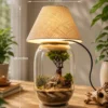 Glass terrarium lamp with ficus bonsai tree, miniature deer, warm white lampshade, and decorative desktop setup for home decor and gifting.