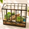 10-inch glass house terrarium with succulent plants and layered decorative sand by Wild Roots Gifting available across India on gifting.wildroots.in.