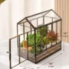 10-inch glass house terrarium with succulent plants and layered decorative sand by Wild Roots Gifting available across India on gifting.wildroots.in.