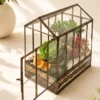 10-inch glass house terrarium with succulent plants and layered decorative sand by Wild Roots Gifting available across India on gifting.wildroots.in.
