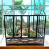 10 inch glass house terrarium with miniature plants and moss by Wildroots