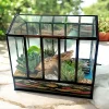 10 inch glass house terrarium with miniature plants and moss by Wildroots