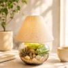 Fishbowl lamp terrarium with real succulents and live plants in an 8-inch glass bowl and 15-inch tall lamp by Wild Roots Gifting for home décor, office desks, and premium gifting in Delhi NCR and India.