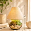 Fishbowl lamp terrarium with real succulents and live plants in an 8-inch glass bowl and 15-inch tall lamp by Wild Roots Gifting for home décor, office desks, and premium gifting in Delhi NCR and India.