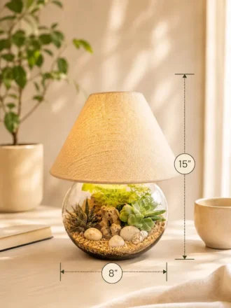 Fishbowl lamp terrarium with real succulents and live plants in an 8-inch glass bowl and 15-inch tall lamp by Wild Roots Gifting for home décor, office desks, and premium gifting in Delhi NCR and India.