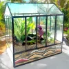 12 inch glass house terrarium with moss and plants by Wildroots.