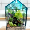 12 inch glass house terrarium with moss and plants by Wildroots.