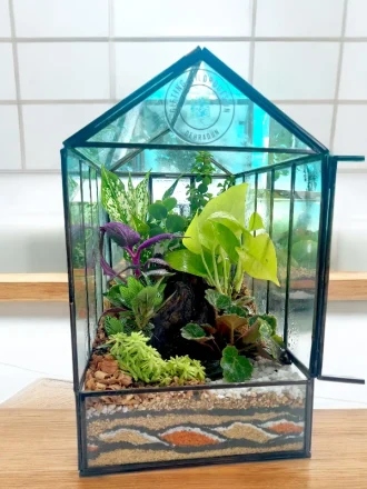 12 inch glass house terrarium with moss and plants by Wildroots.