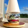 8 inch fish bowl lamp terrarium with live plants and soft lighting by Wildroots for indoor décor