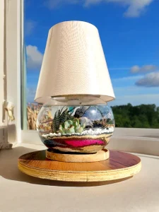 Best Anniversary Gift: Terrariums by Wild Roots Wild Roots Gifting