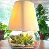 8 inch fish bowl lamp terrarium with live plants and soft lighting by Wildroots for indoor décor