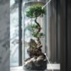Cylindrical bonsai terrarium with moss and stones by Wildroots.