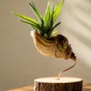 Real seashell succulent planter with copper wire support on a sheesham wood base, approximately 6 inches tall with 4 to 5 inch base diameter for premium home decor and gifting.