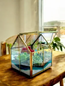 Glass Hut Terrarium from Wildroots with geometric glass design housing green succulents.