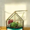 Glass Hut Terrarium from Wildroots with geometric glass design housing green succulents.