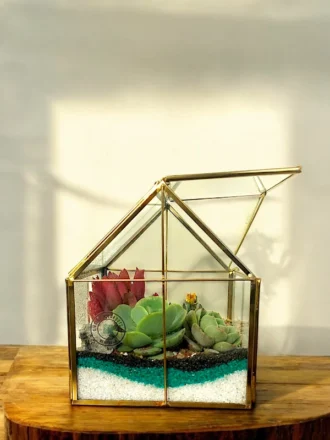 Glass Hut Terrarium from Wildroots with geometric glass design housing green succulents.