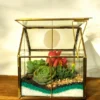 Glass Hut Terrarium from Wildroots with geometric glass design housing green succulents.