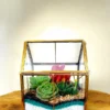 Glass Hut Terrarium from Wildroots with geometric glass design housing green succulents.