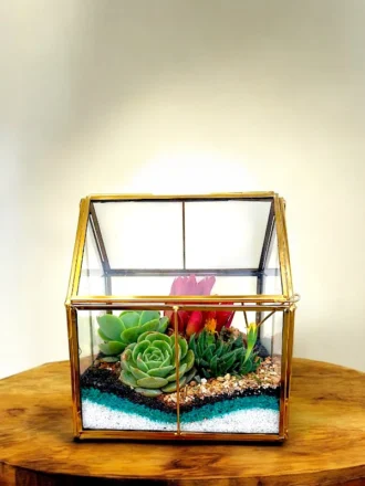 Glass Hut Terrarium from Wildroots with geometric glass design housing green succulents.