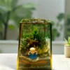Quard lanter glass terrarium with succulents and moss by Wildroots