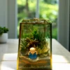 Quard lantern glass terrarium with succulents and moss by Wildroots