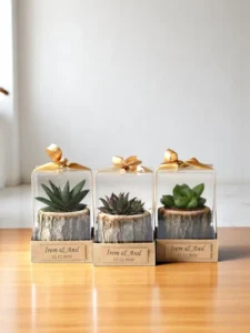 4x4 wooden log succulent planter by Wildroots with assorted live succulents. Terrariums in india