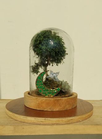 "Small Table Dome Terrarium by Wild Roots – a handcrafted glass dome with live indoor plants, perfect for tabletop décor, office desk greenery, and eco-friendly gifting. Minimalist design with natural moss and vibrant plants, ideal for home décor, sustainable gifts, and modern interiors."