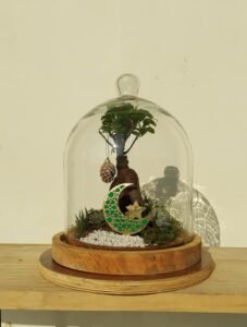 "Medium Table Dome Terrarium by Wild Roots – a handcrafted glass dome with lush indoor plants, perfect for home décor, office desk greenery, and eco-friendly gifting. Elegant design with natural moss and vibrant plants, ideal for modern interiors and sustainable gifts."