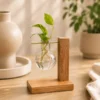 Handcrafted deep wood hydroponic vase with glass hydropendulum planter for money plant and pothos cuttings, premium wooden propagation stand for home décor in India and Delhi NCR