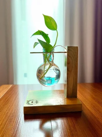 Handcrafted wooden stand with suspended glass vase holding a money plant – sustainable, eco-friendly indoor décor for homes and offices.