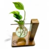 Stylish wooden desk planter with transparent hanging bulb vase and live money plant cutting – perfect for office table décor and workspaces.