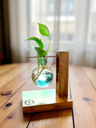 Eco-friendly wooden planter with glass bulb vase and money plant cutting – unique sustainable gift for birthdays, anniversaries, and home décor.