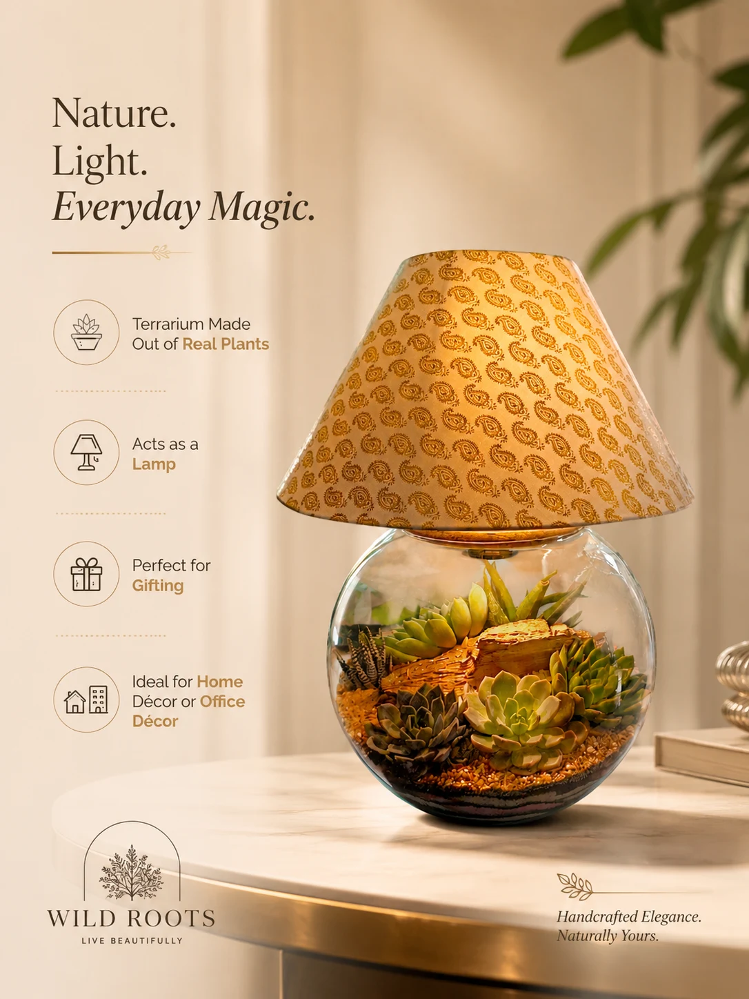 lamp terrarium with real plants premium glass succulent lamp