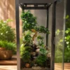 Luxury bonsai terrarium in premium steel and glass frame for home decor in India